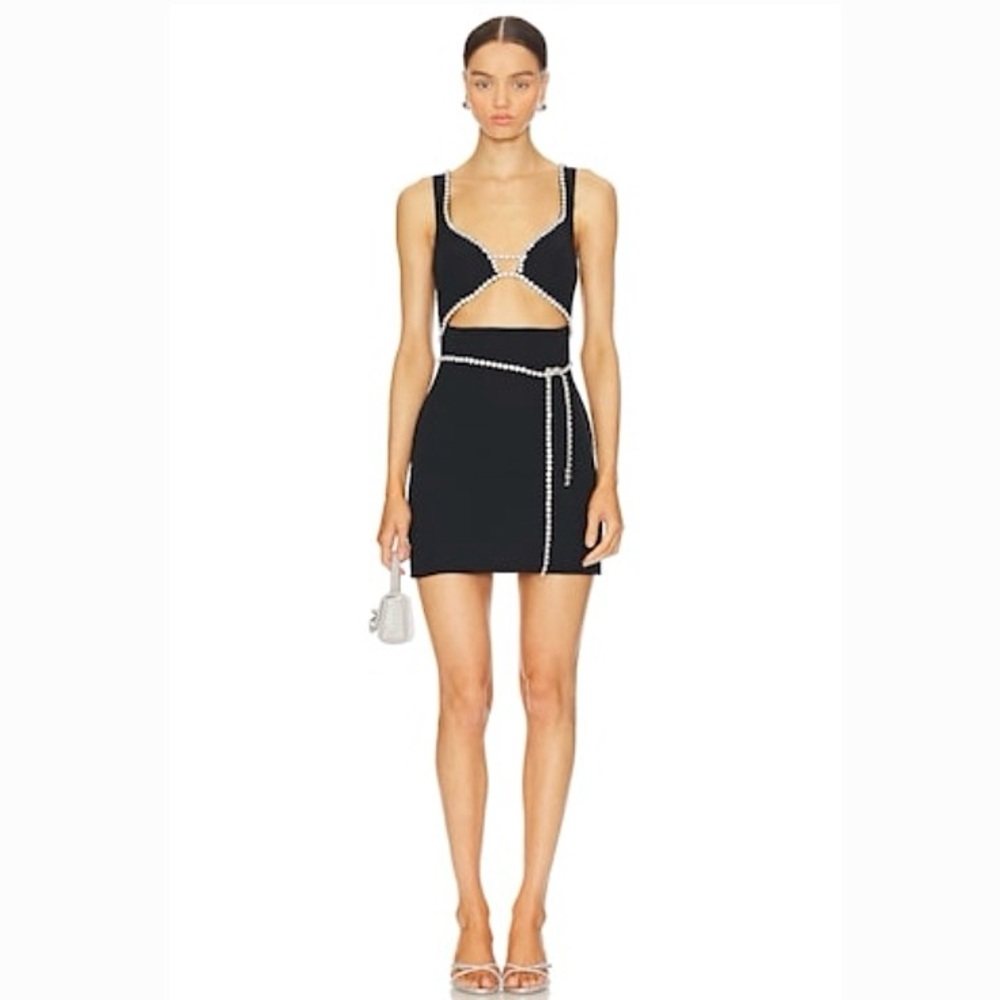 NWT MAJORELLE x Revolve Matteson Mini Dress